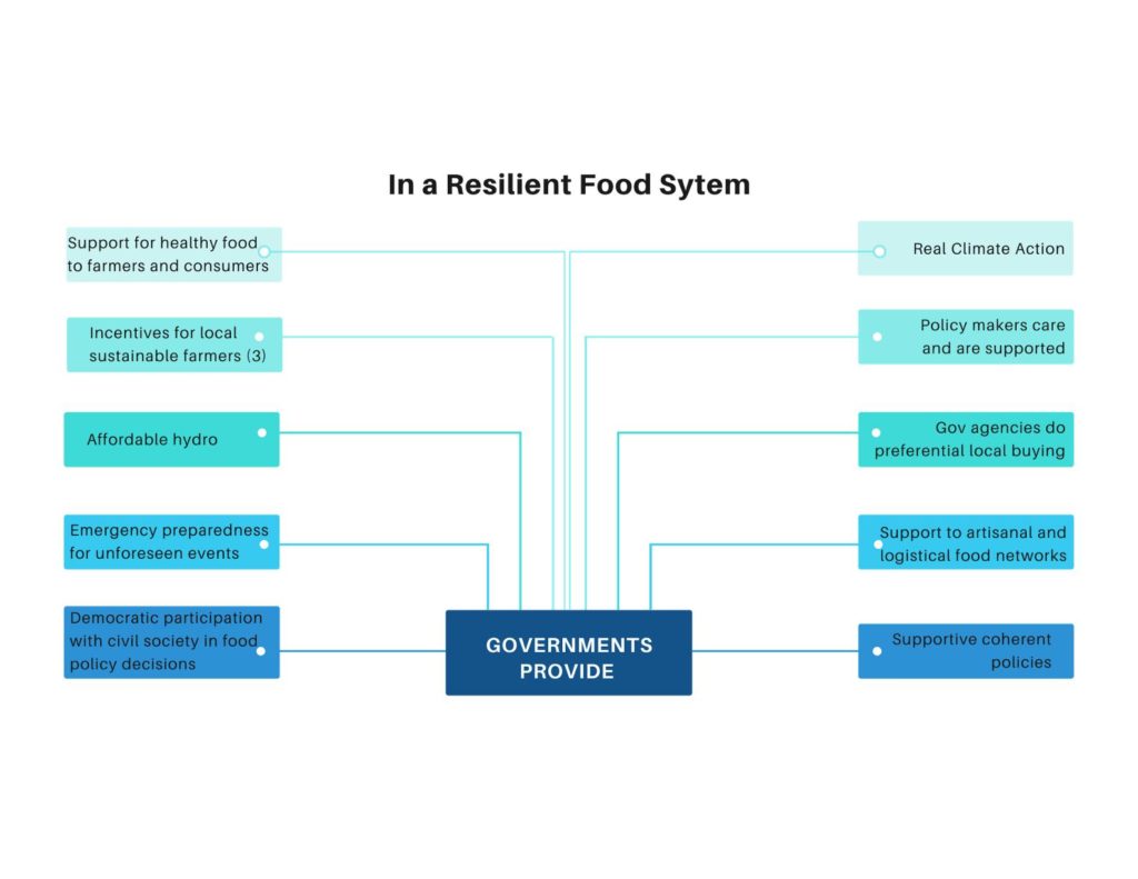 In A Resilient Food System Governments Provides