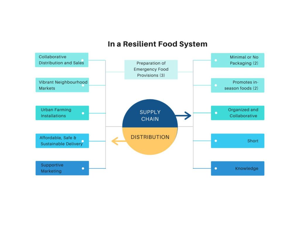 Supply Chain & Distribution