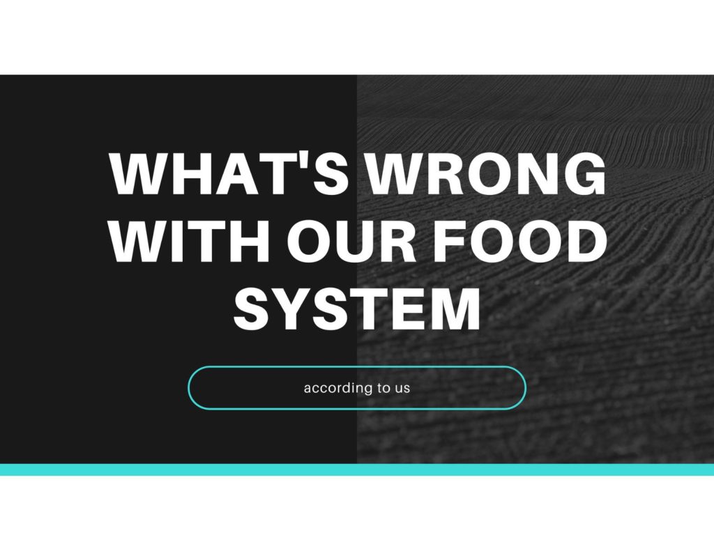 Whats Wrong With Our Food System According To Us